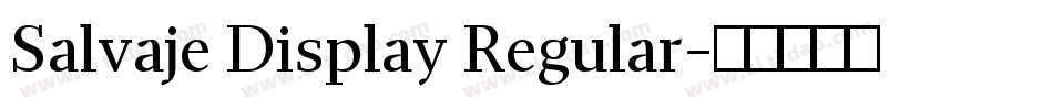 Salvaje Display Regular字体转换